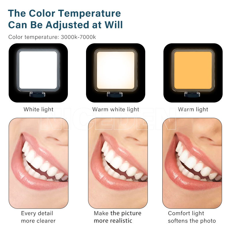 Niceden Dental portable Flash  - Photography Lighting Portable のレビューと価格